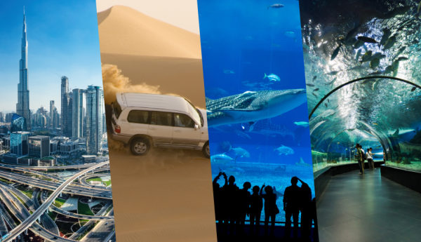 Burj Khalifa with Dubai Aquarium & Underwater Zoo and Desert Safari combo