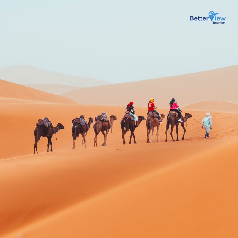 Camel Ride: Tours, Activities & Safety Tips