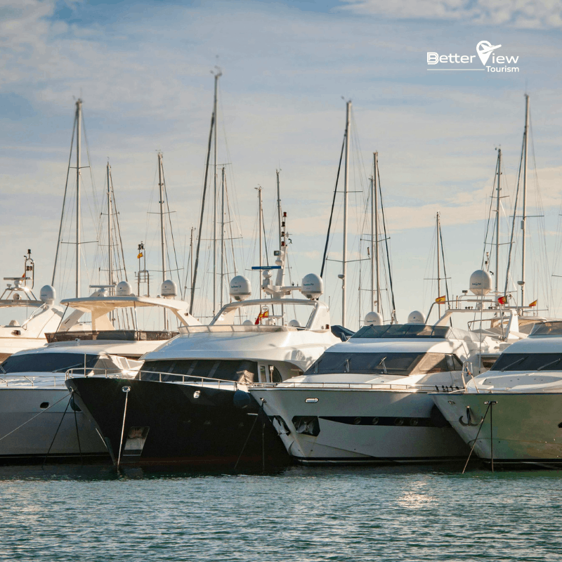 Private Yacht vs Group Cruise in Dubai: Which option is the Best?